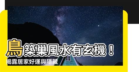 鳥來築巢 風水|【鳥築巢吉兆】迎祥納瑞：野鳥築巢，居家風水好兆。